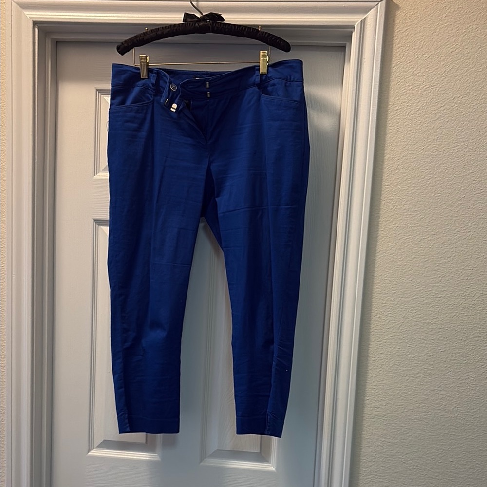New York & Company Blue Capris Pants